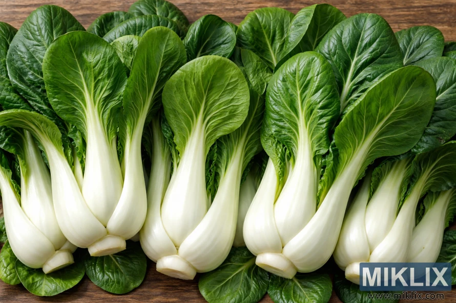 Fersk hel bok choy med tykke hvite stilker og mørkegrønne blader arrangert på en rustikk treflate Fersk hel bok choy med tykke hvite stilker og mørkegrønne blader arrangert på en rustikk treflate