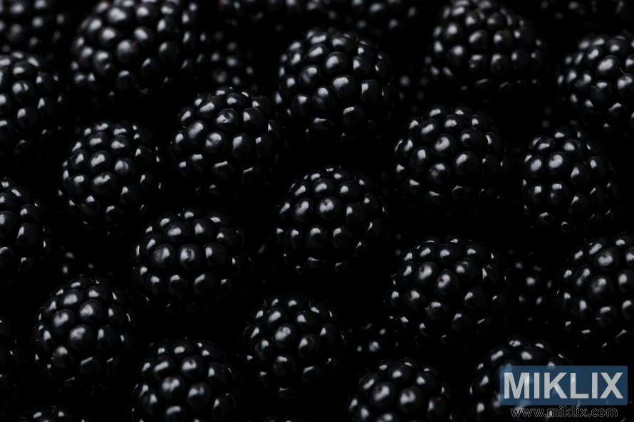 Puikiai prinokusių gervuogių stambus planas su blizgiais, tamsiai violetiniais kauliukais ir sodria natūralia tekstūra. Puikiai prinokusių gervuogių stambus planas su blizgiais, tamsiai violetiniais kauliukais ir sodria natūralia tekstūra.