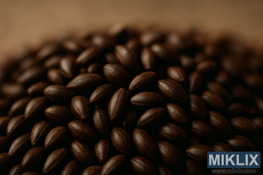 Nærbilde av avskallede Carafa-maltkorn i varmt lys med jevn tekstur og rik farge.