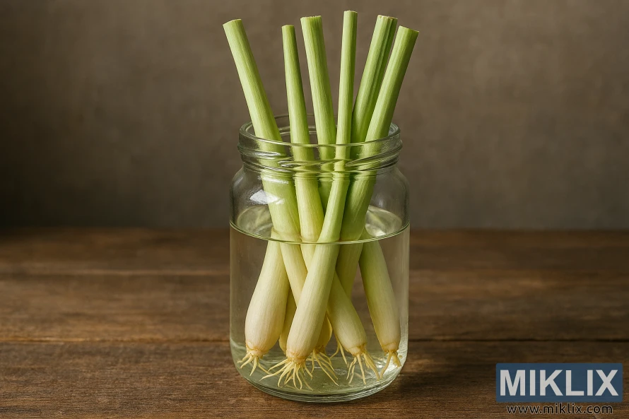 Glass jar with lemongrass stalks rooting in water on a wooden surface